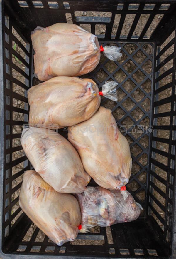屠宰场鸡农业的现状与家禽产业的演变
