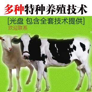 家禽养殖技术光盘与全球机械采购 现代化家禽养殖的双翼