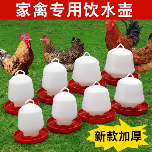 婕茵桐鸡水槽饮水壶水桶大小鸡喝水饮水器自动喂水器养鸭鹅家禽养殖