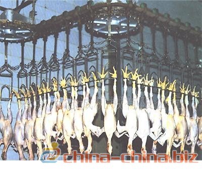 家禽流水线 中国制造的智能化与高效化解决方案