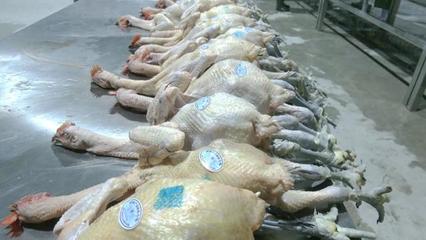 疫情下的坚守 一份来自'内江牛肉面'的骄傲与温暖