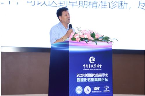 2020中国畜牧业数字化智能化转型高峰论坛 家禽养殖迎来智慧革命
